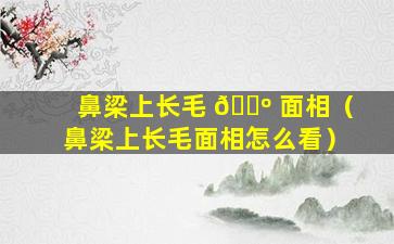 鼻梁上长毛 🐺 面相（鼻梁上长毛面相怎么看）